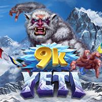  9kYeti